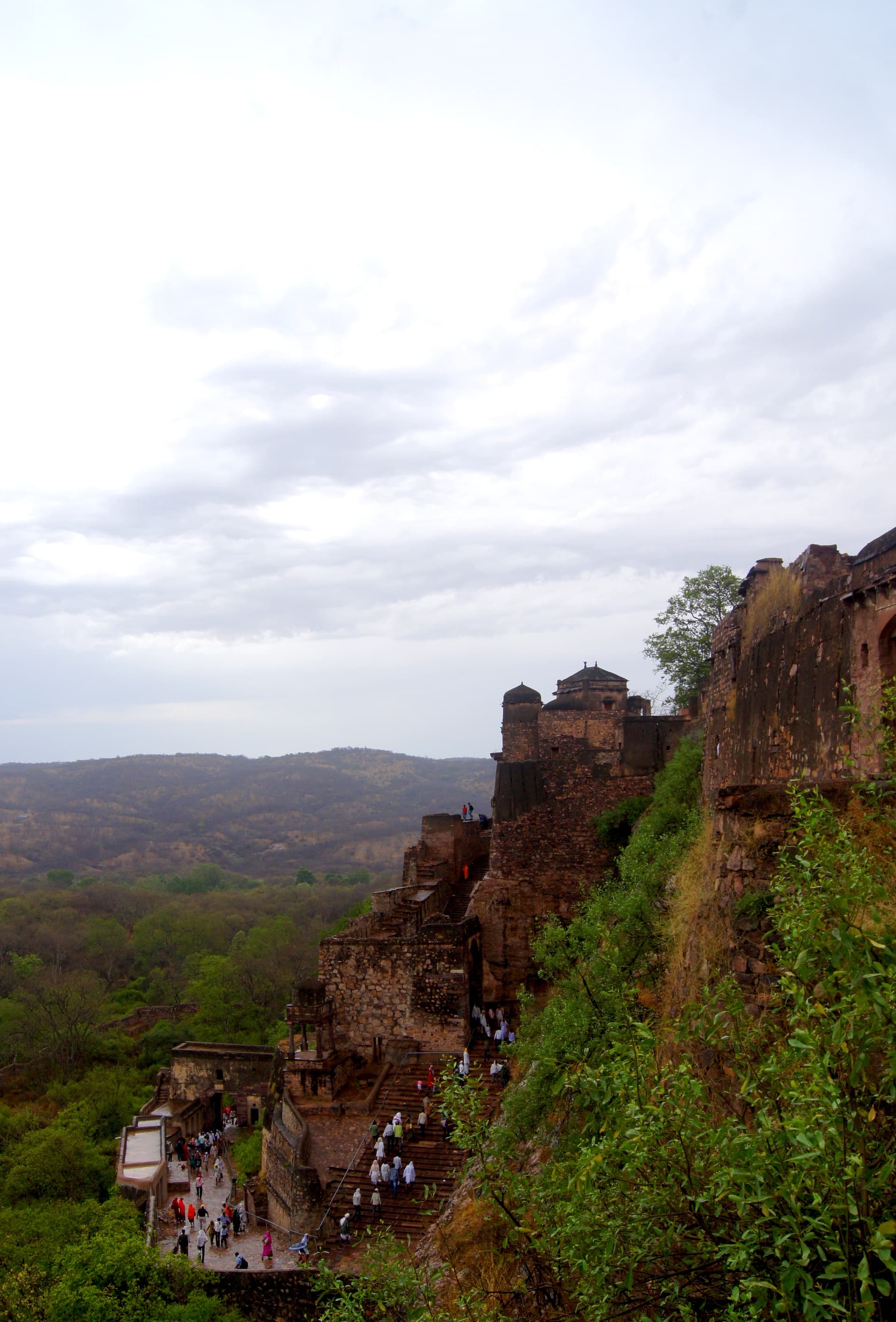 Ranthambore